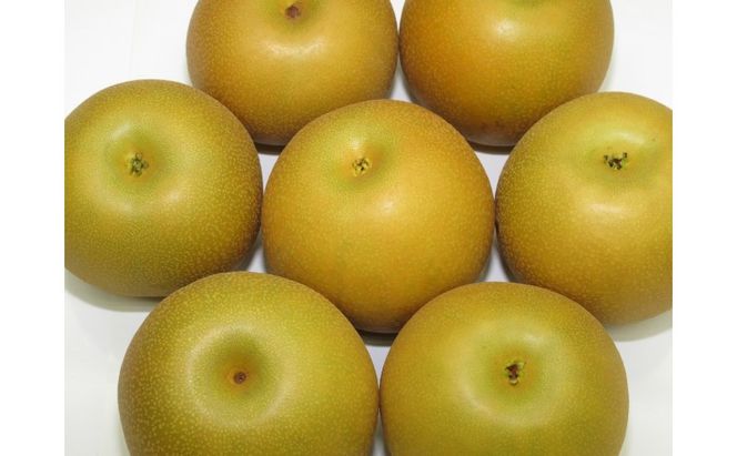 梨 朝倉産 あきづき梨 4.8kg（10～16玉入） ナシ フルーツ 果物 くだもの 筑前あさくら農協 ※配送不可：北海道、沖縄、離島