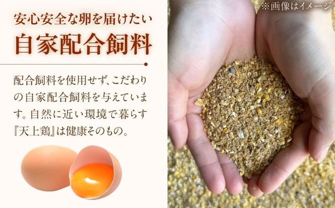 【 全3回 定期便 】 こだわり の 卵 「 天上卵 」 20個 セット 《糸島》【株式会社おおはまファーム】 [AKH002]