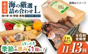 【全6回定期便】糸島産 魚 米 野菜 果物 厳選詰め合わせ MINORI BOX Lサイズ 糸島市 / emma.Inc / 米 魚 野菜 果物 詰め合わせ[AOP029]