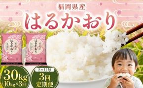 【2ヶ月毎3回定期便】 はるかおり10kg 計30kg ／ 米 コメ お米 ライス ご飯 ごはん 飯 食品 精米 定期便 常温 福岡県 香春町