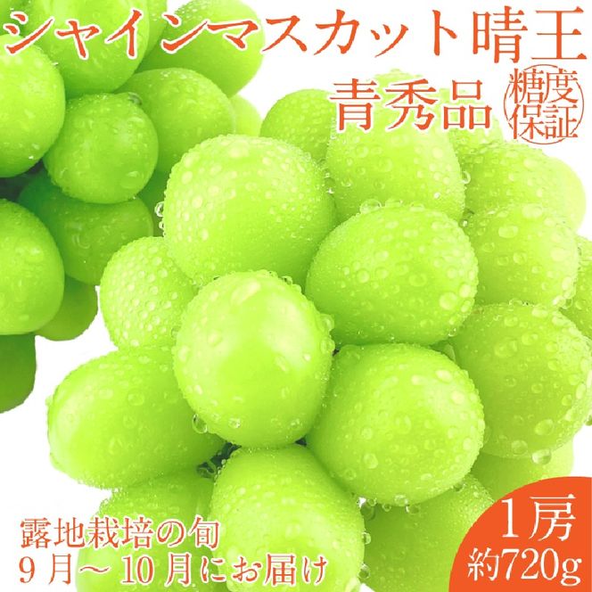 2026年 先行予約シャインマスカット 晴王 1房約720g 9月～10月出荷/ 岡山県産 種無し 皮ごと食べる みずみずしい フレッシュ 晴れの国 おかやま　 果物大国 彩美菜果