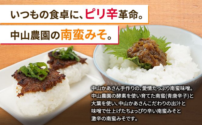 十勝 幕別 中山かあさんの南蛮みそ 激辛 150g 2本セット【 白米 米 パスタ 十勝 おにぎり きゅうり 南蛮みそ 南蛮 味噌 青唐辛子 ご飯のお供 大葉 しそ おつまみ 国産 無着色 無添加 北海道 】