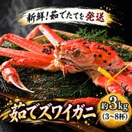 茹で ズワイガニ 約3kg (3～8杯) セット 詰め合わせ 脚折れ含む カニ 蟹 かに 茹でカニ ずわい蟹 ずわいがに カニセット 魚介 魚介類 海鮮 海鮮セット 福井 福井県 若狭町