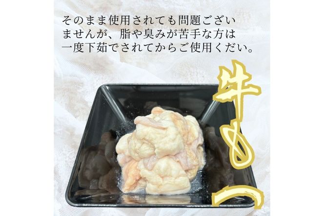 もつ鍋 牛もつ スープ ちゃんぽん麺 セット 8人前 [Esprit 福岡県 筑紫野市 21761544] 国産 もつ モツ鍋 もつ鍋セット モツ鍋セット 冷凍 博多 ヤマタカ醤油 ラー麦 ちゃんぽん麺 醤油味 8人前 小分け こだわりスープ