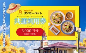 エリア限定 リンガーハット グループ 共通 利用券　3000円（500円×6枚）