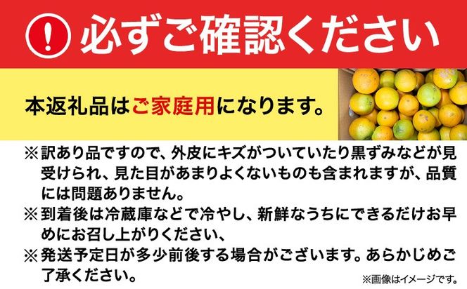 【ご家庭用訳あり】※先行予約※希少な国産バレンシアオレンジ 約7kg 株式会社魚鶴商店《2026年6月下旬-7月上旬出荷》和歌山県 日高川町---wshg_uot144_6g7j_25_16000_7kg---
