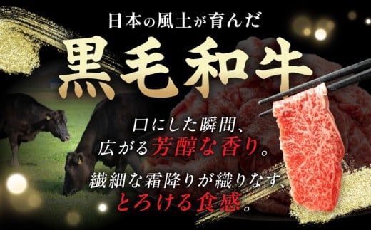 黒毛和牛こま切れ1.5kgセット(黒たれ付)_MJ-3116_(都城市) 黒毛和牛 国産牛肉 都城市 小間切れ(250g×6) にくほんぽ黒たれ 小分け タレ もも肉 ばら肉 牛丼 肉じゃが ビーフシチュー モモ肉 バラ肉 牛肉 黒毛和牛 便利