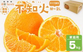 【産地直送】☆不知火☆家庭用☆約5kg    	AL10