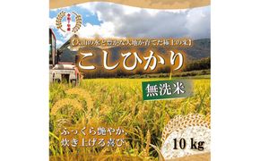 令和7年産　山崎農園こしひかり　無洗米10kg 313726_CH006
