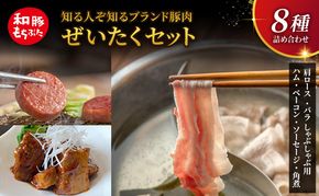 もちぶた 詰め合わせ 肩ロース バラ しゃぶしゃぶ 400g ハム ベーコン 角煮 セット 和豚 もち豚 豚肉 ポーク 肉 豚 ぶた 豚ロース バラ肉 加工肉 加工品 精肉 レトルト レトルト食品 アウトドア スペシャルキャンペーン 