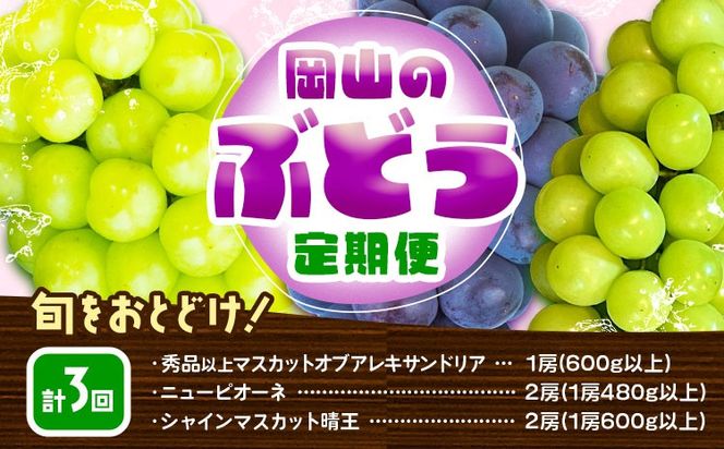 yR}szy2026Ns\zy3ցzԂǂ  v3R[X RY VC}XJbg  j[sI[l }XJbgIuALThA ϔ ЎRs2026N7{-9oׁtR }s t[c ʕ  Ԃǂ }XJbgy