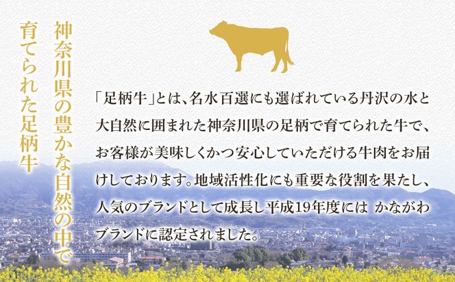 足柄牛　熟成味噌漬け「手前みそですが」 味付き肉 100×4袋 ｜ 小分け 国産豚肉 お惣菜 お総菜 冷凍 焼くだけ 一人暮らし セット 味付き肉 味付け肉 味噌漬け 便利 142069_AG001