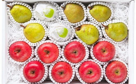 FYN9-384 ≪2026年先行予約≫山形県産 ラ・フランス サンふじりんご 詰合せ 5kg 2026年11月中旬から順次発送 洋梨 ラフランス 林檎 りんご リンゴ 秋果実 果物 くだもの フルーツ 食べ比べ 自宅用 家庭用 産地直送 山形県 西川町 月山