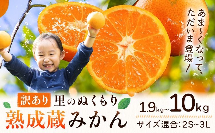 訳あり 熟成みかん 1.9kg or 4.5kg or 10kg [1月上旬-3月上旬頃出荷]徳島 柑橘 ミカン 蜜柑 フルーツ 青果物 大容量 お試し 徳島県 佐那河内村---sanagouchi_lcl_40_1900g---