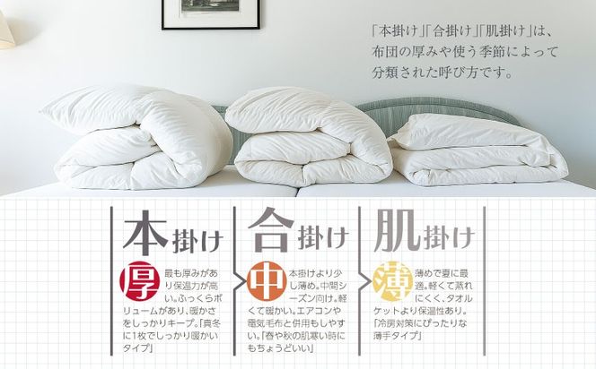 【ダブル】【肌掛け】羽毛肌掛けふとん　ソフラーノ　マシュマロタッチ・保温性・フィット性・快適性　（190cm×210cm） AA218