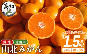 山北みかん 【お試しサイズ】　山北みかん（露地） 1.5kg 家庭用 sq-0001