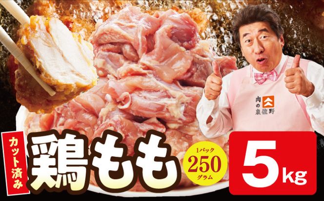 mrz0390 【特別規格】国産 鶏もも肉 切身 5kg 【スピード発送 カット済み 氷温熟成×極味付け 小分け 味付き 簡単調理 訳あり サイズ不揃い 鶏肉 とり 圧倒的企業努力】