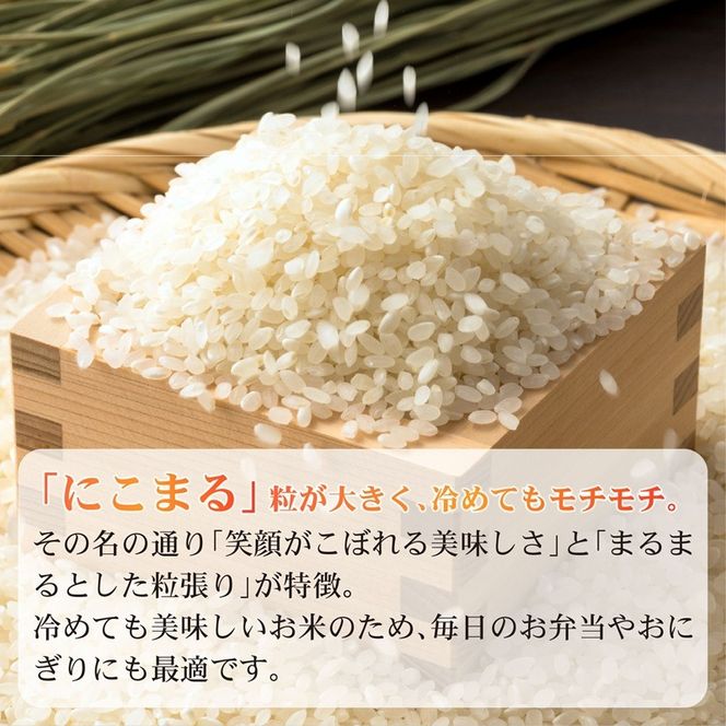 米 5kg 新米 にこまる 令和7年度産 食味ランキング特A品種 もっちり 大粒 静岡県 藤枝市産 静岡のお米 精米 白米 ご飯 ごはん 産地直送 静岡県 藤枝市