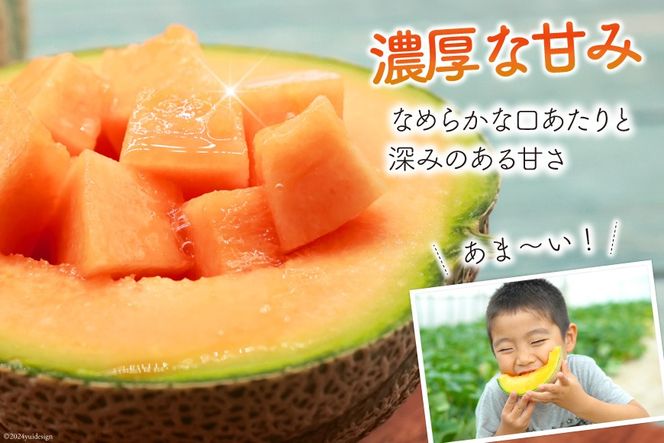 BI114 【令和8年度出荷分】 島原赤肉メロン「マルセイユ」（2L×4玉） [ メロン めろん マルセイユ 赤肉 フルーツ 果物 小原商店 長崎県 島原市 ]