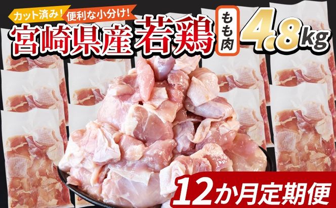 y{茧xz{茧Y{ؐg  4.8kgi300g×16܁j12ց X܂łɏ񔭑 炠 g J[ V`[ BBQ ϕ `L   ܂ ٓ y Z uߕ ȒP zyb0792_it_x2z