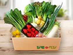 a60-031　【定期便 全6回】ジモベジ 野菜 セット