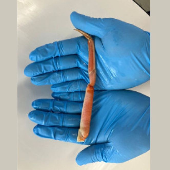 9-46 特盛ボイル本ずわいがに小足 約2kg

