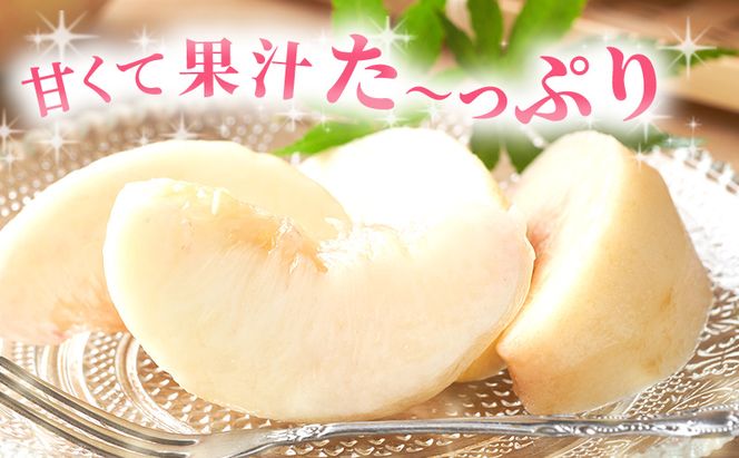 【 2027年 先行予約】 桃 岡山県産 加納岩 白桃 約1.2kg（4～5玉） 《2027年6月下旬-7月上旬頃出荷》 白桃 岡山 はくとう スイーツ フルーツ 果物 先行予約 数量限定 期間限定 岡山 里庄町 モモ もも 桃