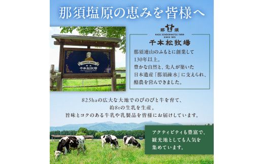 ns025-020-12 【千本松牧場】リンゴ＆ラ・フランス12個セット