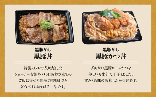 【かごしま黒豚 六白亭】黒豚バラエティピザセット【2】　K163-017