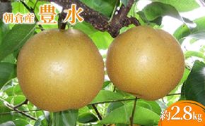 梨 豊水 2.8kg フルーツ 果物 くだもの デザート 筑前あさくら農協 配送不可 離島