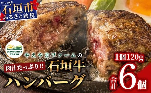 やえやまファームの石垣牛ハンバーグ 6個セット E-27