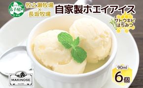 3451. 牧之瀬牧場 自家製ホエイアイス  蜂蜜サトウキビ 6個 アイス 氷菓子 ひんやり アイスクリーム ホエイ 自家製アイス 自家製 さとうきび きび糖 キビ糖 はちみつ 蜂蜜 濃厚 冷凍 スイーツ デザート お取り寄せ 送料無料 北海道 弟子屈町