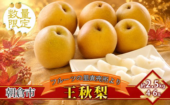 梨 フルーツの里の直売所より 王秋梨 2.5kg 九州の梨 天然の甘み 安心 安全 お歳暮 ギフト 