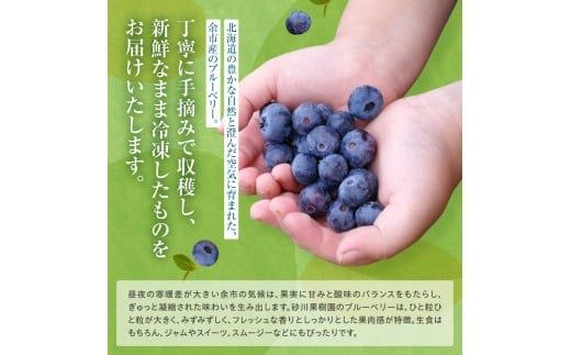余市の砂川果樹園が贈る 訳あり冷凍ブルーベリー1Kg_Y033-0037