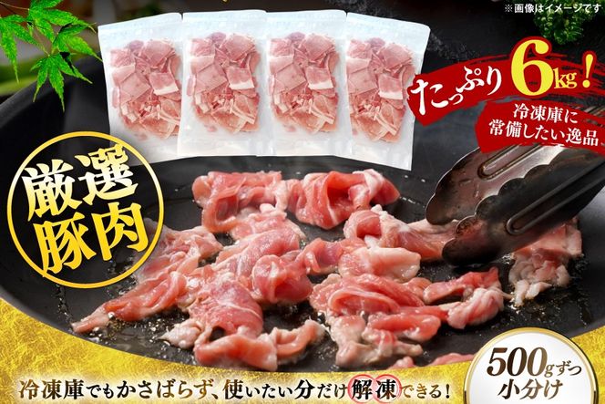 北海道産 豚肉 豚こま切れ 小分け 2kg ( 500g × 4P ) 3回 定期便 総計 6kg [スターゼン 北海道 砂川市 12260976 ] 小間切れ 豚 国産 冷凍