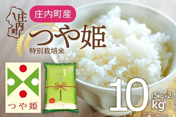 庄内町産 つや姫 10kg 5kg×2袋 令和7年産 2025年産 ブランド米 コシヒカリの原点、亀の尾発祥の地 庄内