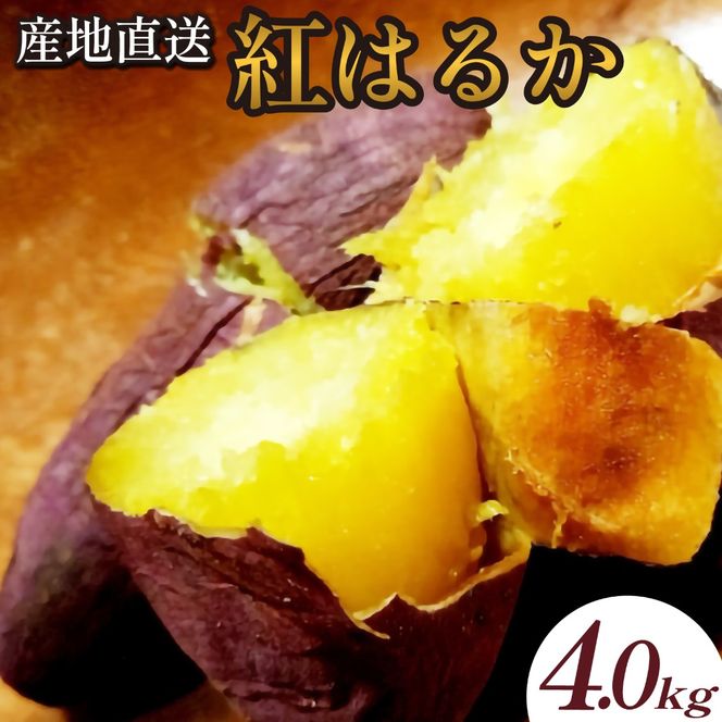 y{茧юszyYnzюsY܂ug͂邩v4kg