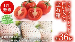 白いちご と フルーツミニトマトの宝石箱 36粒【1月から発送開始】（茨城県共通返礼品 [いちご]：城里町産　[トマト]：つくばみらい市産）  詰め合わせ 果物 フルーツ 茨城県産