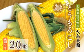 【2026年7月中旬～発送】朝もぎ とうもろこし 恵味 めぐみ 20本 L-2L 北海道 富良野市 (大島農園)