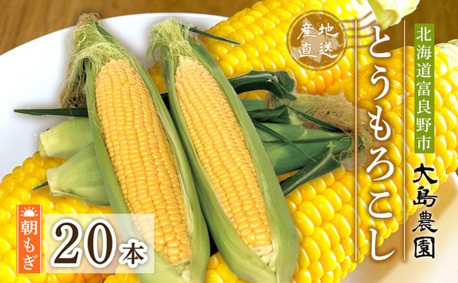 【2026年7月中旬～発送】朝もぎ とうもろこし 恵味 めぐみ 20本 L-2L 北海道 富良野市 (大島農園)