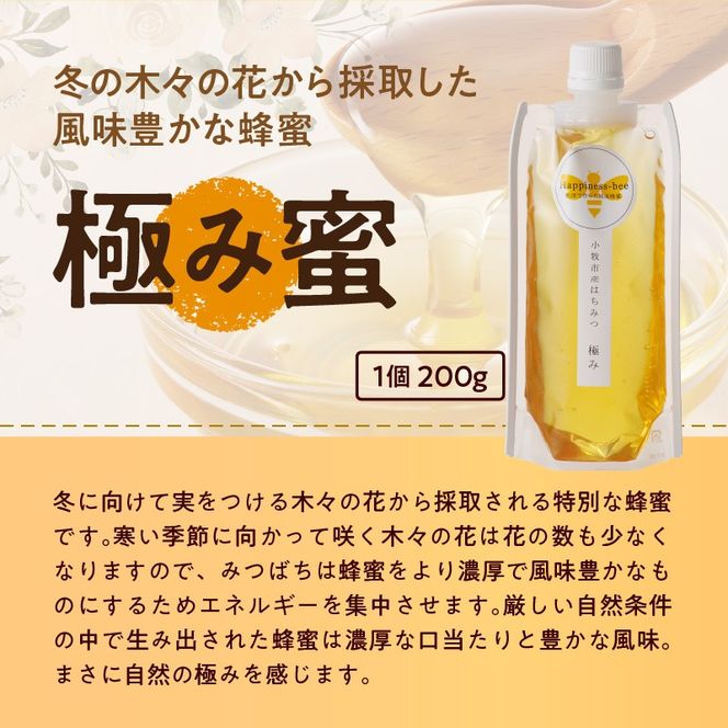 【愛知県小牧市】桃畑で作った完熟非加熱はちみつ200g×3本 パウチ入り ポスト便［055A29］