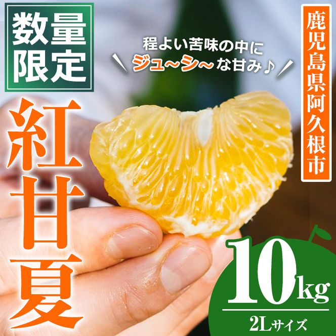 ＜先行予約受付中！2027年3月上旬以降順次発送予定＞数量限定！鹿児島県産 紅甘夏 (10kg・2L) 柑橘 フルーツ 果物 国産 みかん 期間限定 数量限定 ベニアマナツ ミカン 旬 【株式会社土曜日】akn069-10