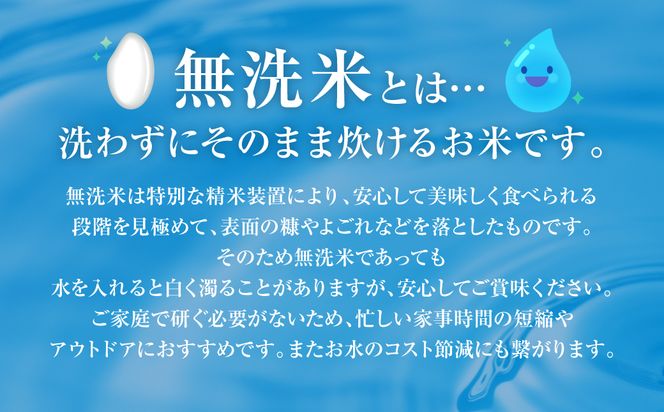 【令和7年産】 熊本県産 無洗米 熊本ひのひかり 5kg (5kg×1袋) 米 お米 精米 白米 ごはん ご飯 熊本
