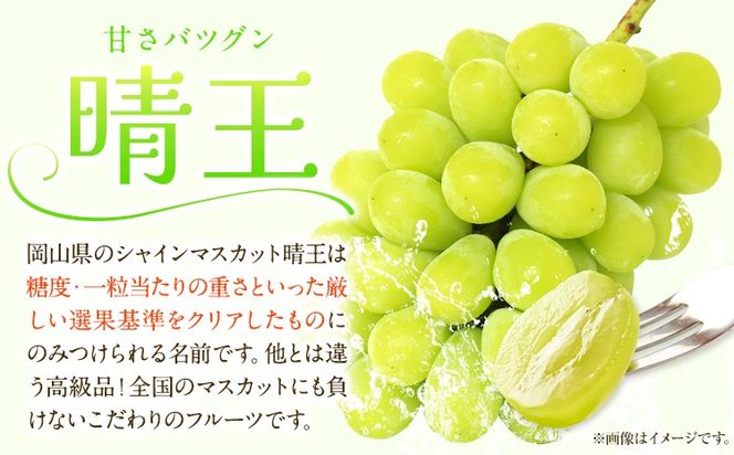 【先行予約】岡山白桃 & シャインマスカット（晴王）セット 選べる サイズ 数 有限会社ホーティカルチャー神島《7月上旬-8月中旬頃出荷》岡山県 笠岡市 桃 白桃 もも 岡山白桃 シャインマスカット マスカット ぶどう 晴王【配送不可地域あり】---H-79---