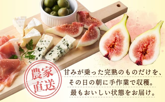 099H4538 【先行予約】【農家直送】朝採り 完熟いちじく 700g以上