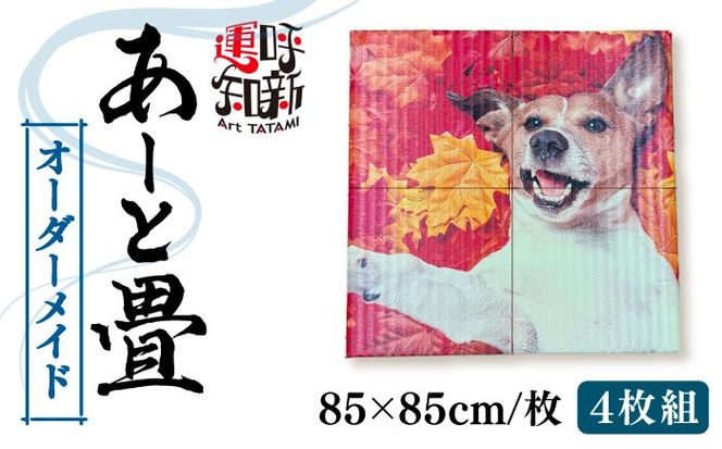 ymszEɂЂƂ I[_[Ch [Ə 41Zbg   s / LЂȂ[AEDC004]