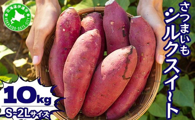 ykCɒBszkC ɒB ܂ VNXC[g 10kg n x Tc}C  Â XC[go Yn