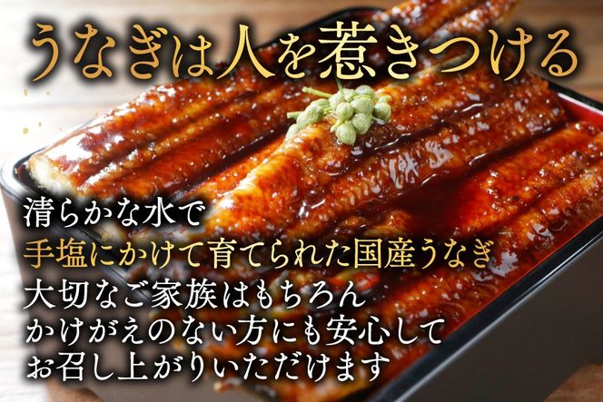 （6月）国産 極大 特上うなぎ(220g×4尾)【OT000OD40_006】