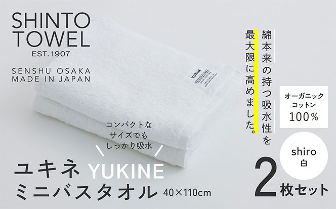 y{򍲖szG3066 SHINTO TOWELuLlE~joX^Ivshiroij2Zbg I[KjbNRbg100%