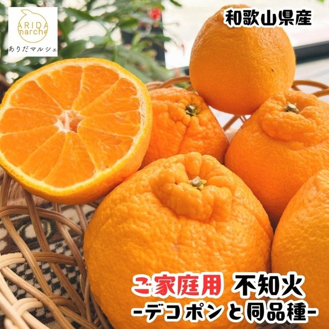 有田育ちの濃厚 不知火 ( 訳あり 家庭用 )  2kg+200g(傷み補償分) 【ard020C】
